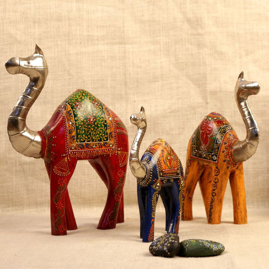 WOODEN CAMEL S/3 42GHI