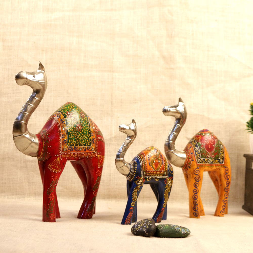 WOODEN CAMEL S/3 42GHI