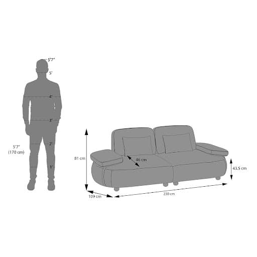 Modern 2-Seater Sofa with Plush Cushioned Seating-Shivora Crafts
